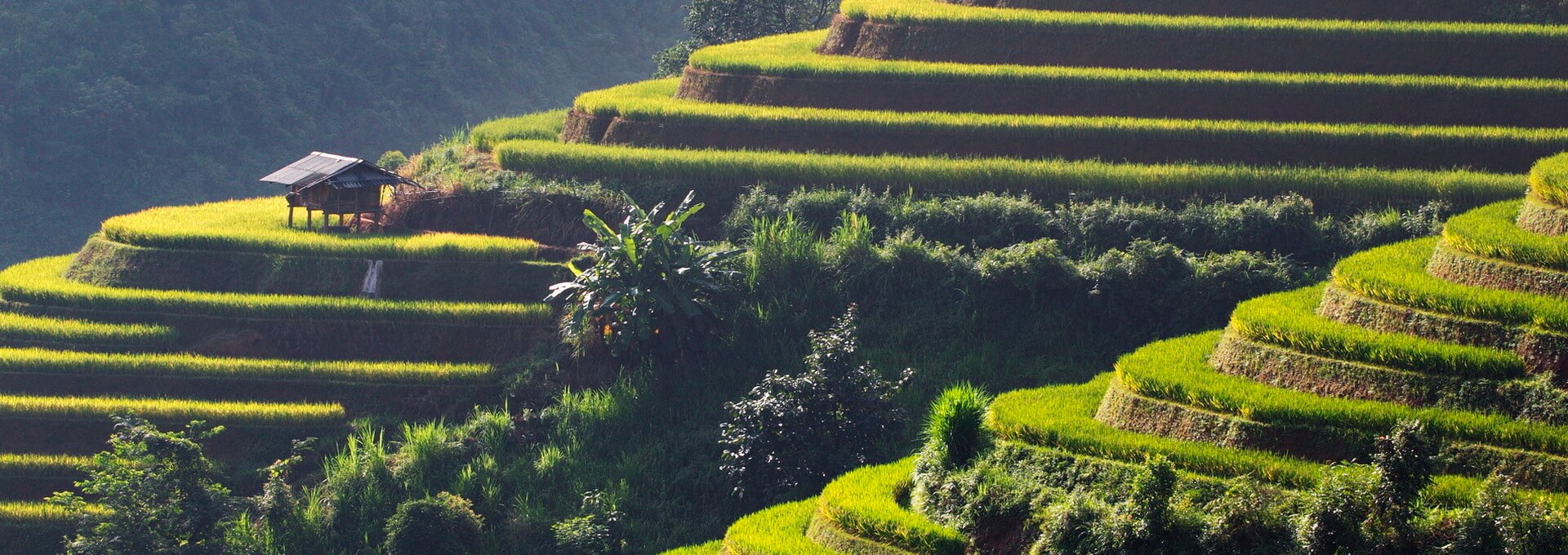 Travel news